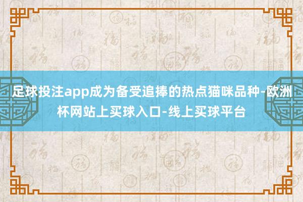 足球投注app成为备受追捧的热点猫咪品种-欧洲杯网站上买球入口-线上买球平台
