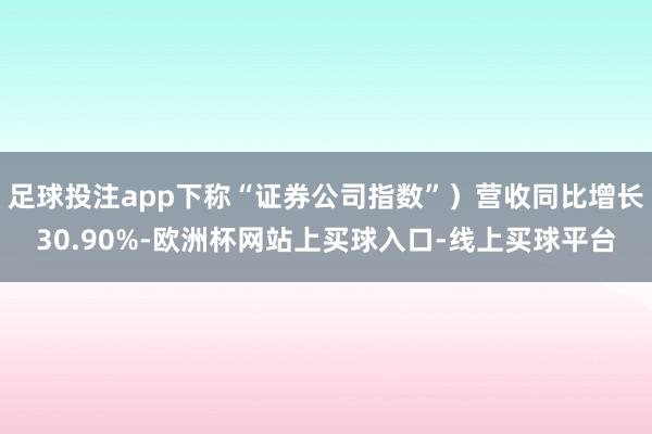 足球投注app下称“证券公司指数”)营收同比增长30.90%-欧洲杯网站上买球入口-线上买球平台
