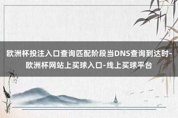 欧洲杯投注入口查询匹配阶段当DNS查询到达时-欧洲杯网站上买球入口-线上买球平台